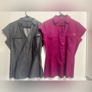 Express Charcoal and Magenta Button-Up Blouses